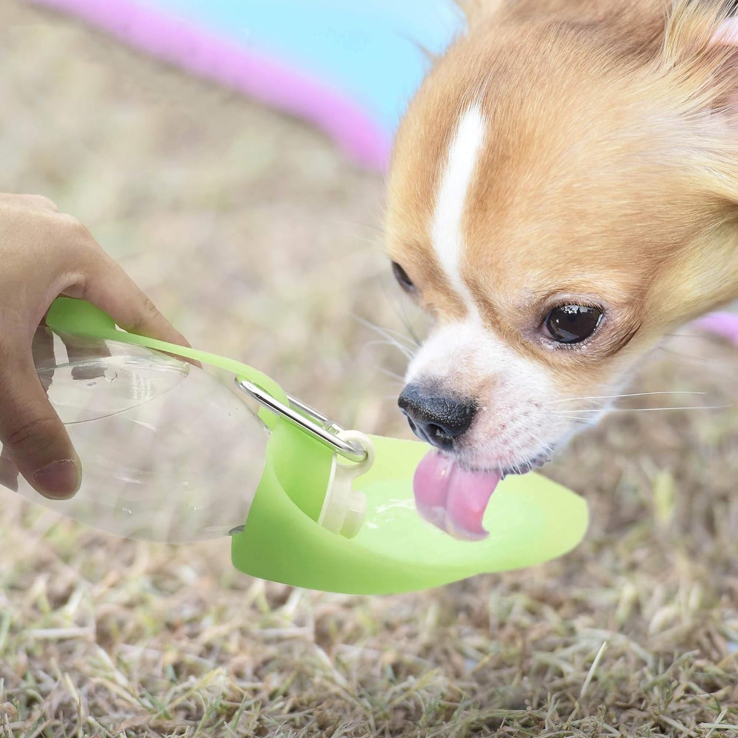 Portable Pet Water Bottle, Reversible & Lightweight Water Dispenser for Dogs and Cats, Made of Food-Grade Silicone (20 Oz) - Green